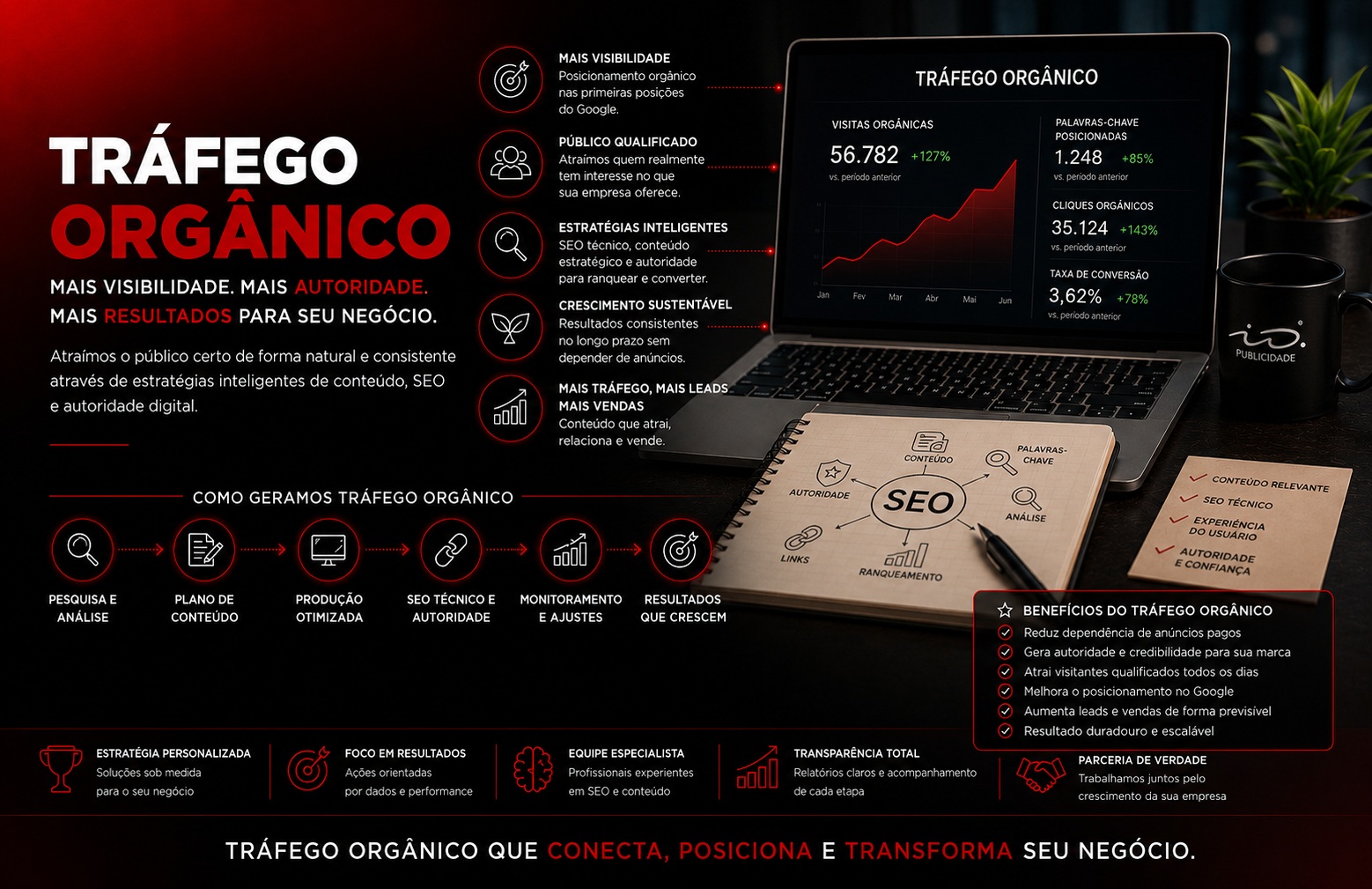 Tráfego Orgânico 